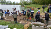 Výlov rybníka 27.4.2019 Výlov rybníka 27.4.2019